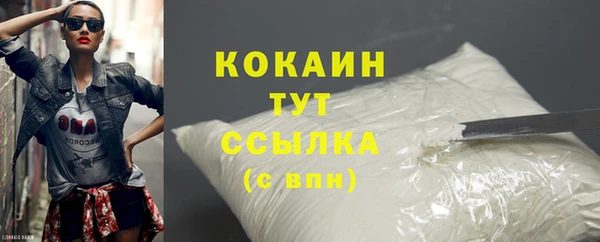 дживик Абинск