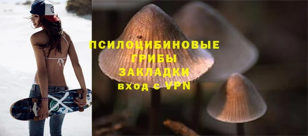 мет Абаза