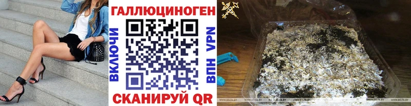 hydra зеркало  Белоусово  Псилоцибиновые грибы Psilocybe 
